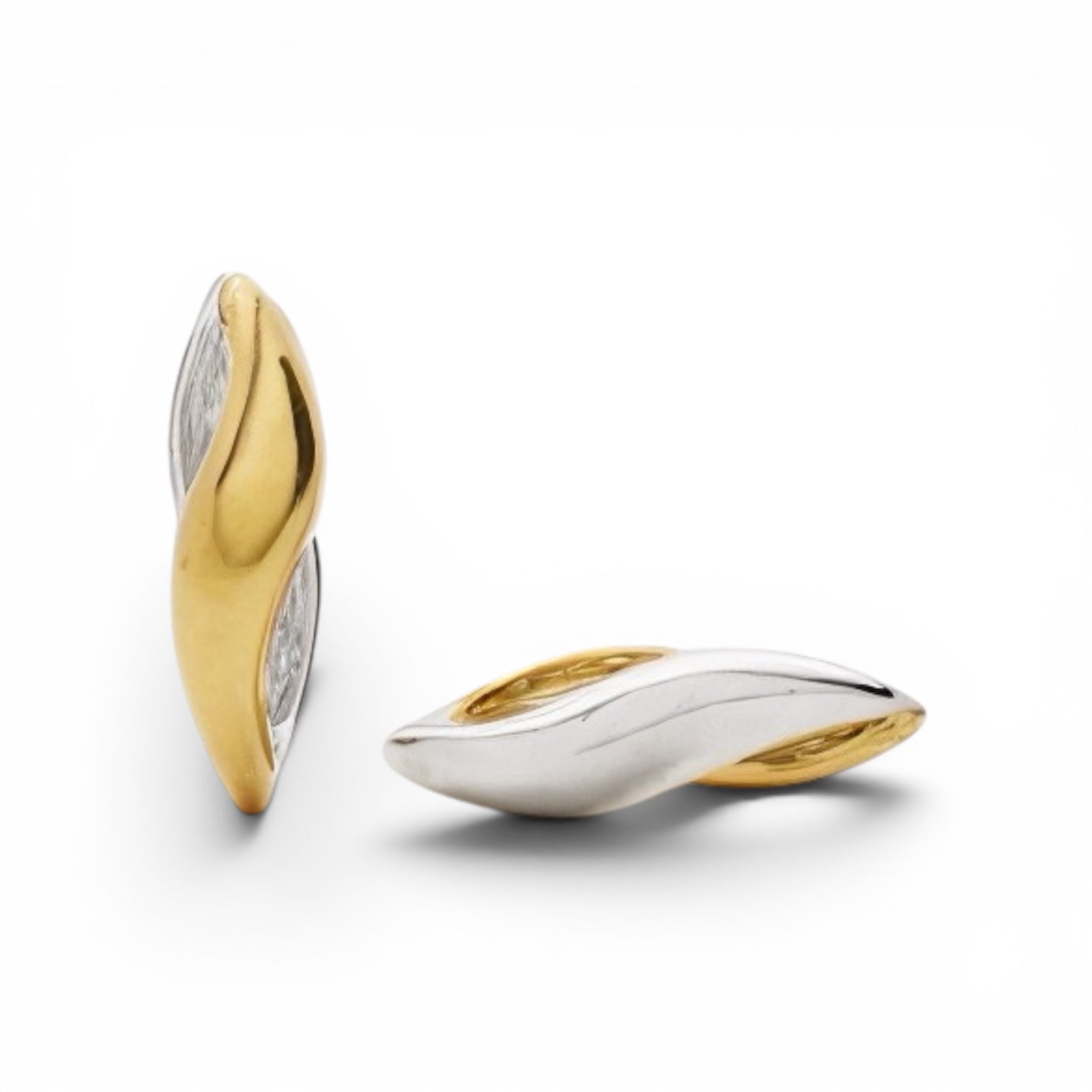 Dual Wave Earrings